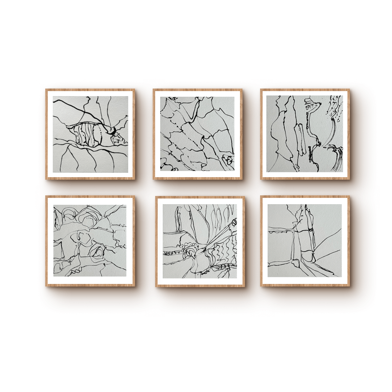 Suite 2 feature (1)
